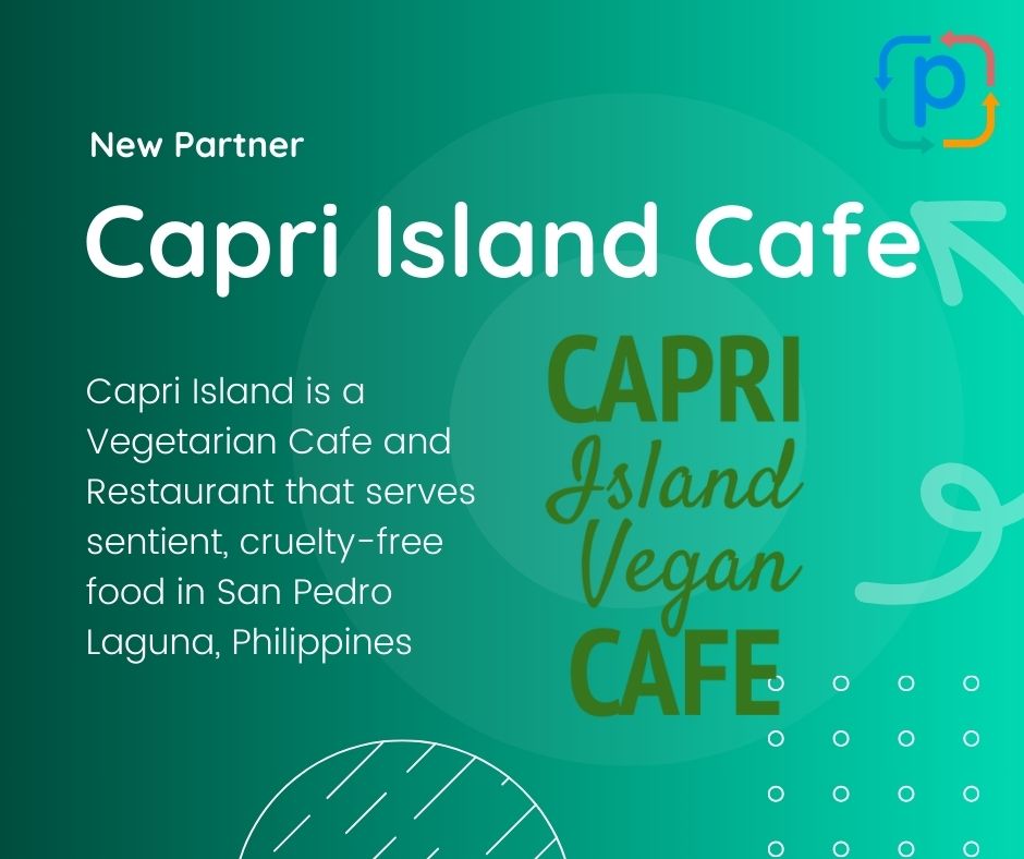 New Partner: Capri Island Cafe